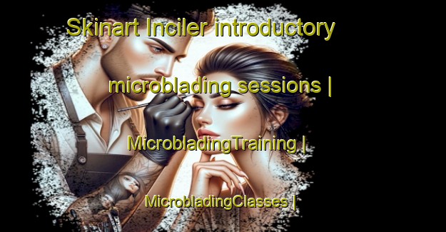 Skinart Inciler introductory microblading sessions | MicrobladingTraining | MicrobladingClasses | SkinartTraining-Turkey